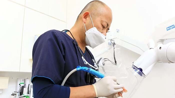 近くの入れ歯の上手な歯医者